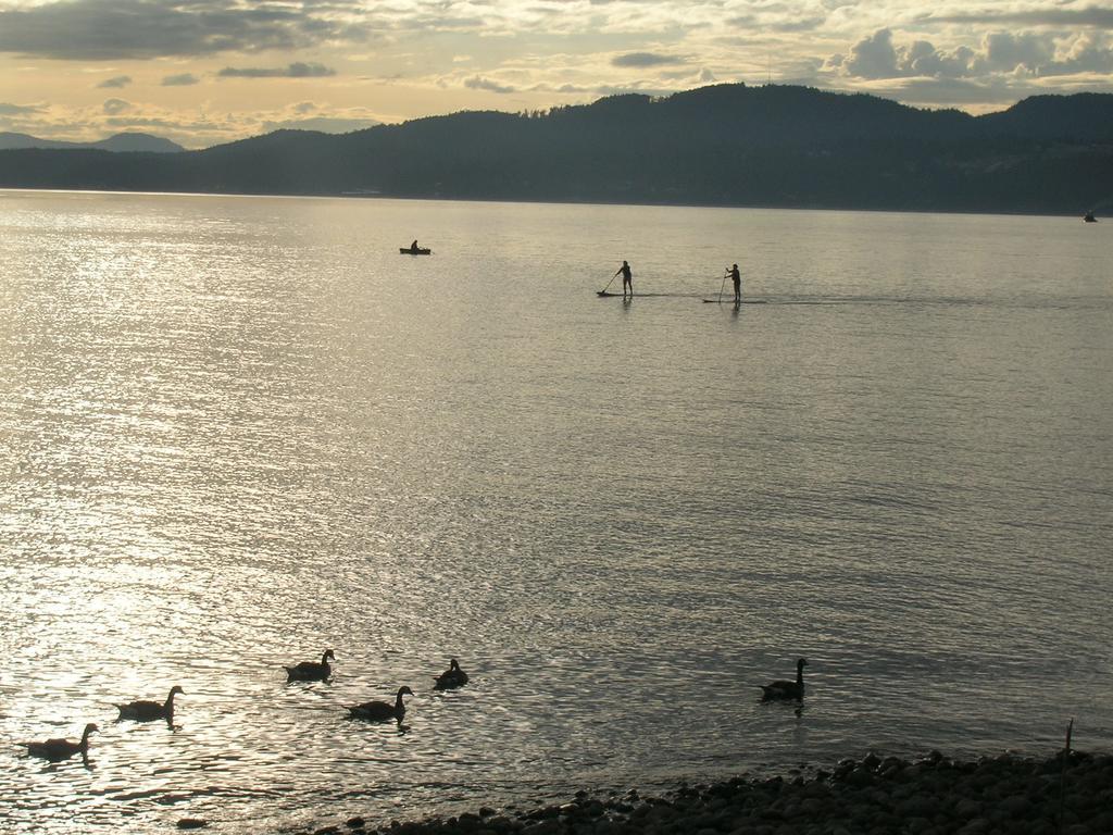 Davis Bay Bed & Breakfast Sechelt Eksteriør bilde
